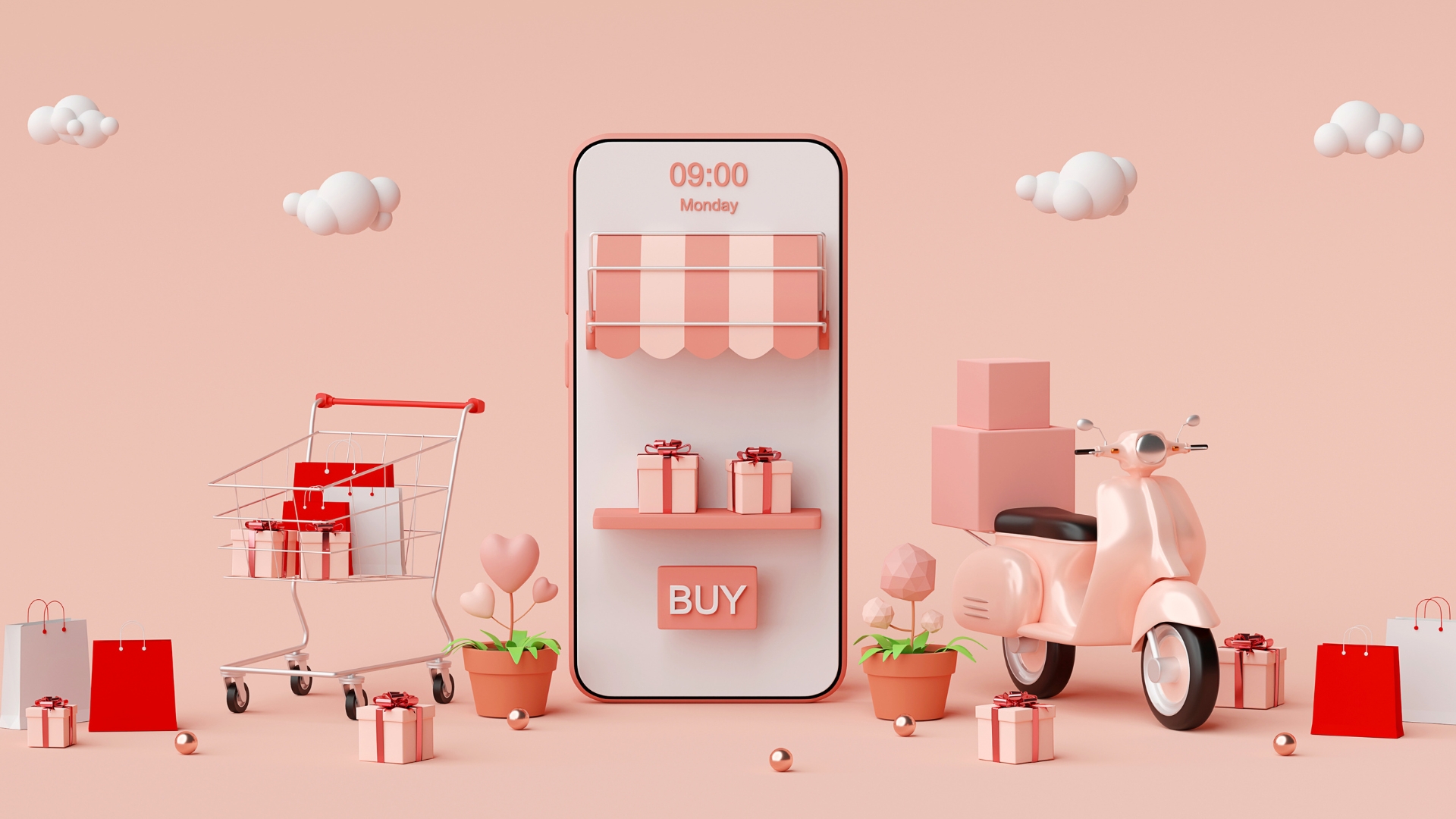 Affordable E-Commerce Platforms In Delhi