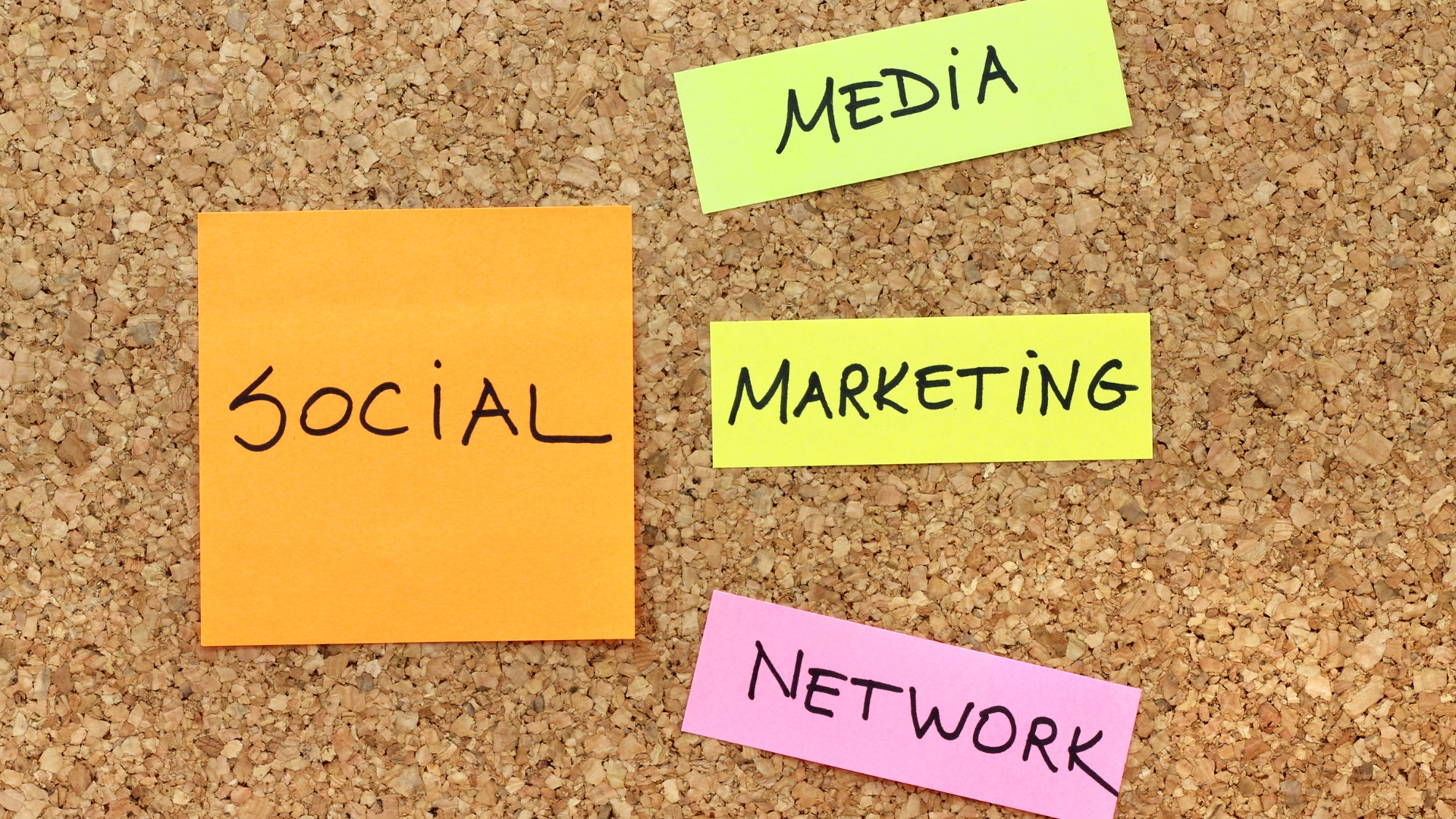 Affordable Social Media Marketing in Delhi